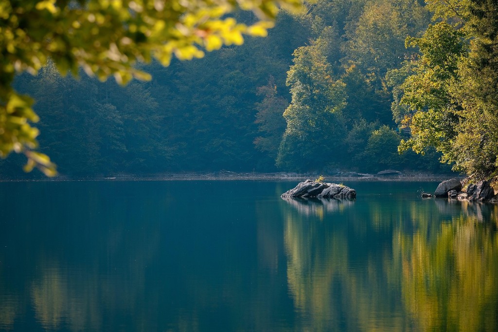 Calm forest lake reflecting trees — Courses and Books from Prayer Power Ministries